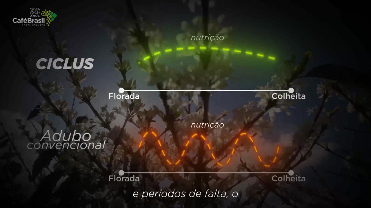 Chart composited over a plant image